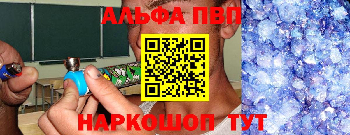 A PVP СК КРИС Гатчина