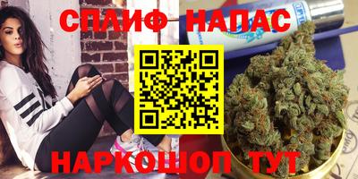 стаф Балаково