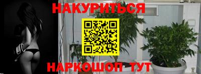 стаф Балаково