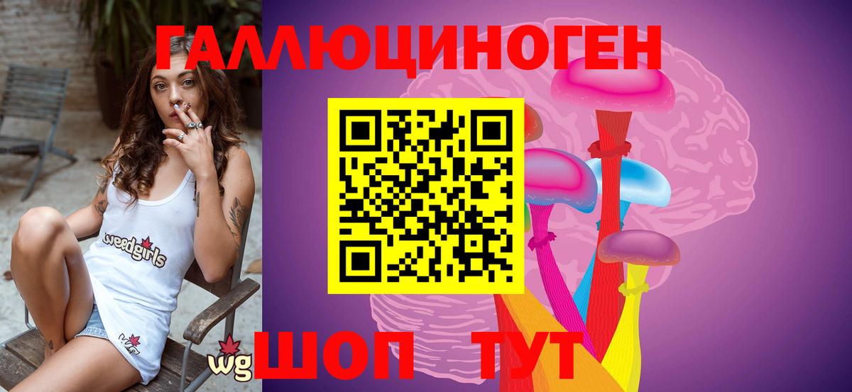 Гатчина  Галлюциногенные грибы прущие грибы  Галлюциногенные грибы Psilocybe  Вход с VPN 