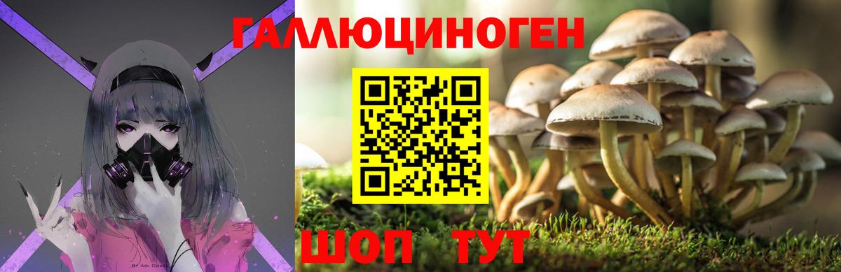 Галлюциногенные грибы прущие грибы Гатчина